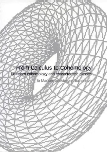 From Calculus to Cohomology
