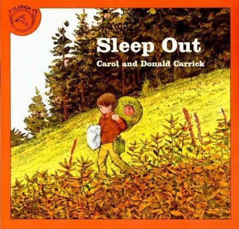 Sleep Out