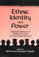 Ethnic identity and power: cultural contexts of political action in school and society