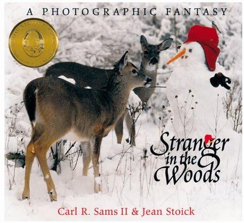 Stranger in the woods: a photographic fantasy