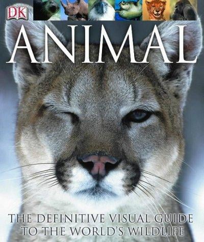 Animal