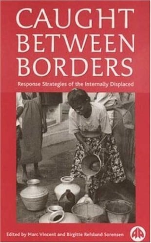 Caught between borders: response strategies of the internally displaced