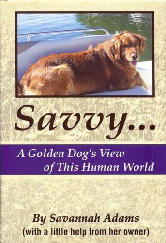 Savvy A Golden Dog's View of This Human World