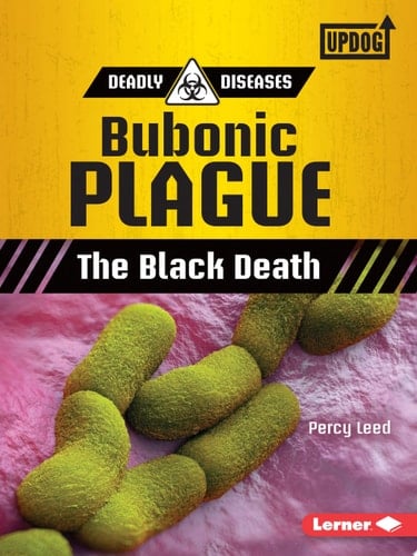 Bubonic Plague The Black Death