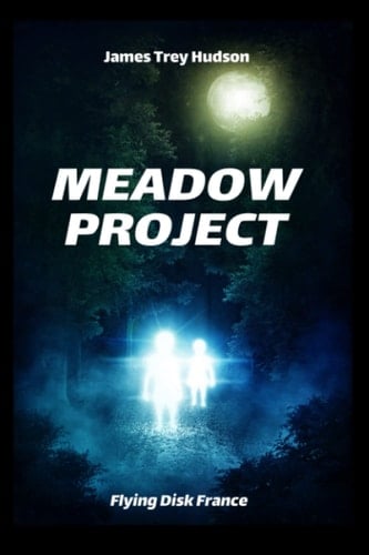 MEADOW PROJECT (French Edition)