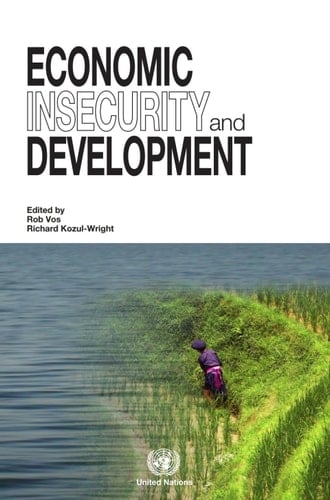 Economic Insecurity and Development