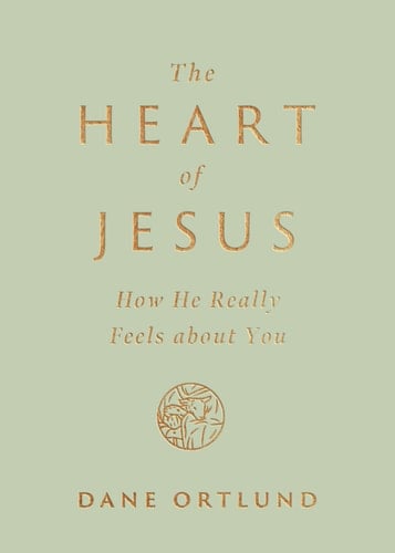 The Heart of Jesus How He Really Feels about You