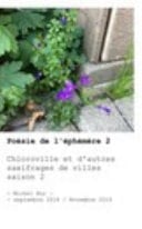 Chloroville 2 - Saxifrages des Villes