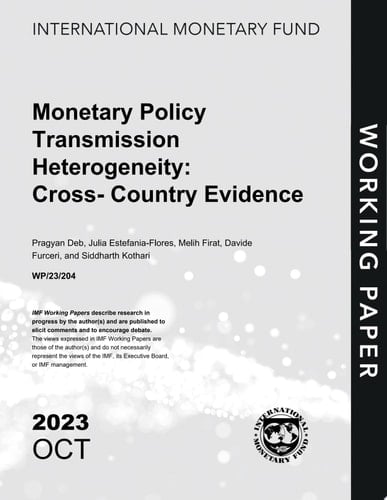 Monetary Policy Transmission Heterogeneity: Cross-Country Evidence