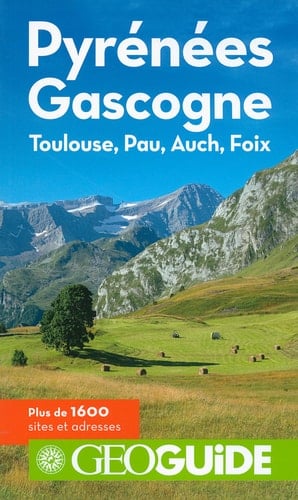 Pyrénées Gascogne Toulouse, Pau, Auch, Foix
