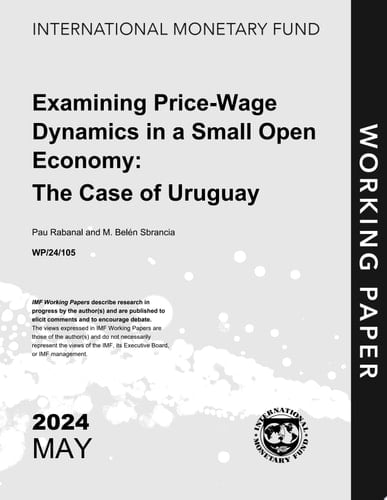 Examining Price-Wage Dynamics in a Small Open Economy: The Case of Uruguay