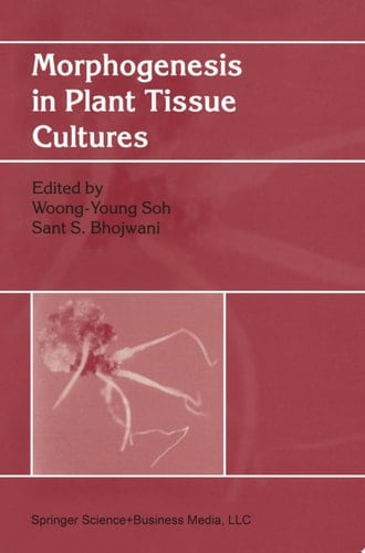 Morphogenesis in Plant Tissue Cultures