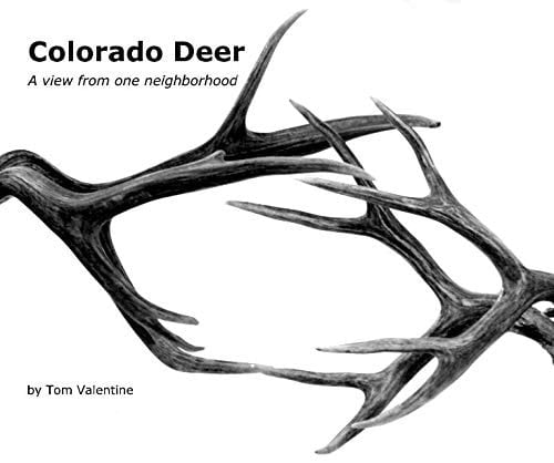 Colorado Deer (10x8)