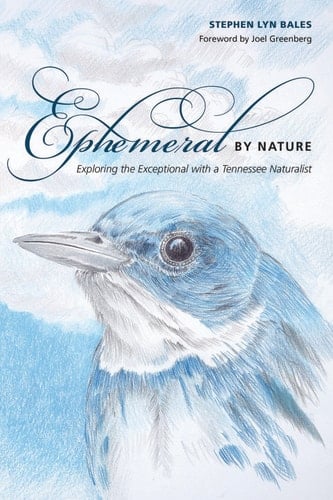 Ephemeral by Nature