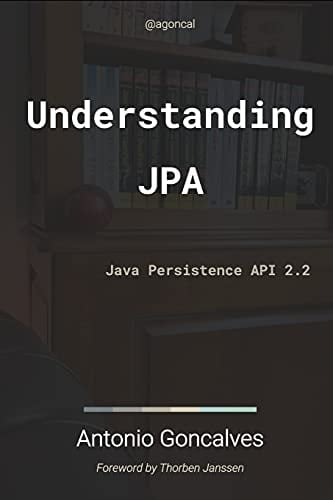 Understanding JPA 2. 2 Java Persistence API