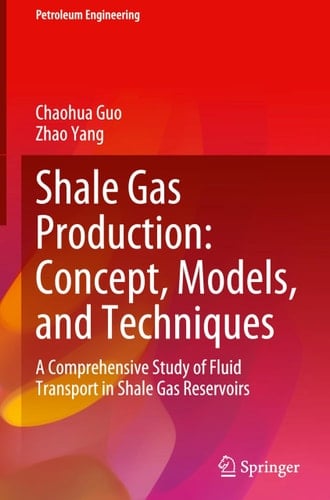 Shale Gas Production: Concept, Models, and Techniques A Comprehensive Study of Fluid Transport in Shale Gas Reservoirs