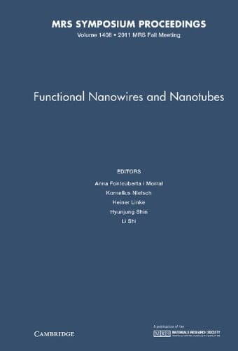 Functional Nanowires and Nanotubes: Volume 1408