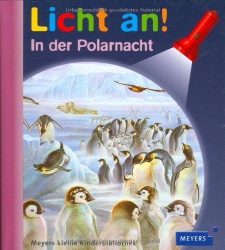 In der Polarnacht