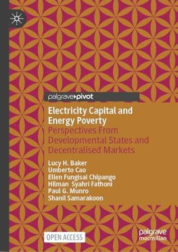 Electricity Capital and Energy Poverty Perspectives From Developmental States and Decentralised Markets