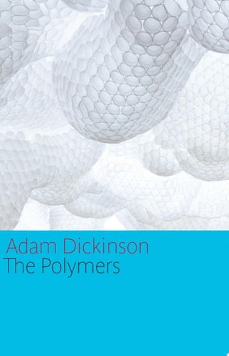 The Polymers special hardcover edition