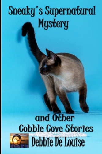 Sneakys Supernatural Mystery