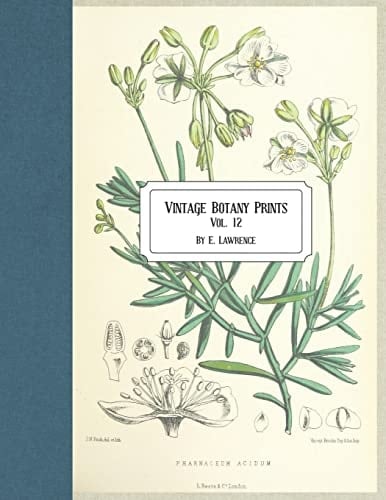 Vintage Botany Prints Vol. 12