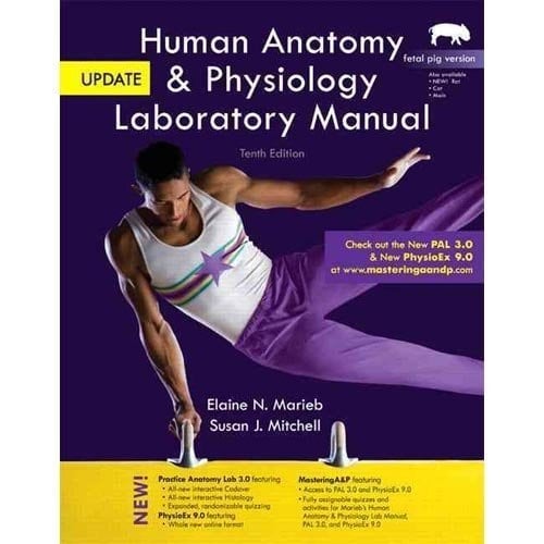 Human Anatomy and Physiology