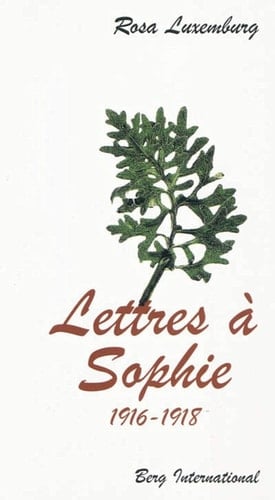Lettres à Sophie 1916-1918
