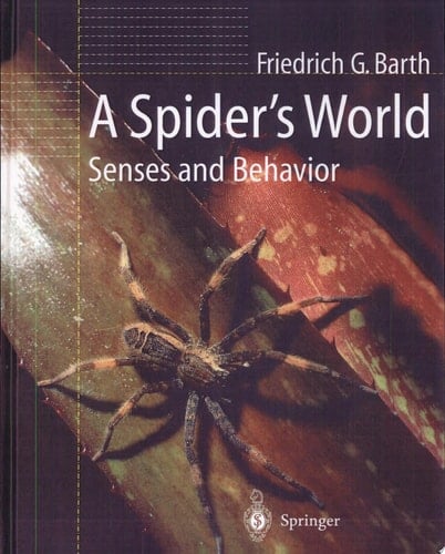 A Spider’s World Senses and Behavior