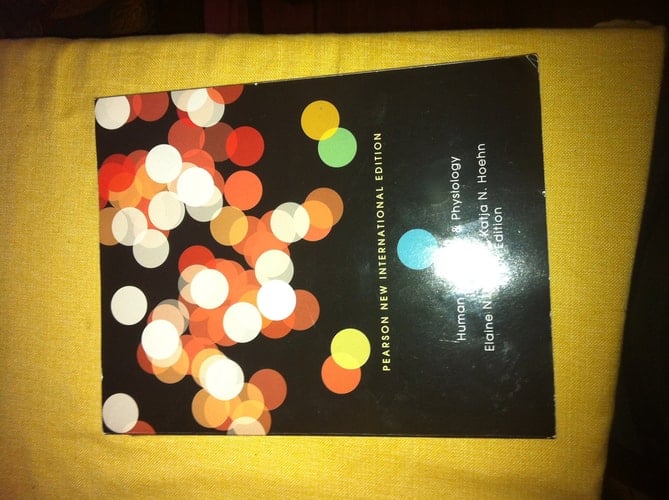 A Brief Atlas of the Human Body