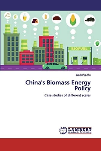 China's Biomass Energy Policy: Case studies of different scales