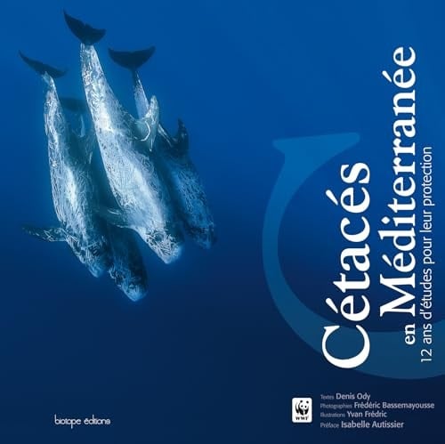 Cétacés en Méditerranée 12 ans d'études pour leur protection
