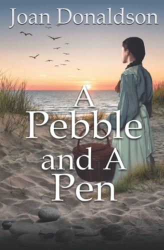 A Pebble and A Pen: revised edition: With a revised ending