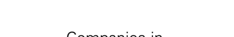 Companies In 2005-2006 Report for the Year Ended 31 March 2006
