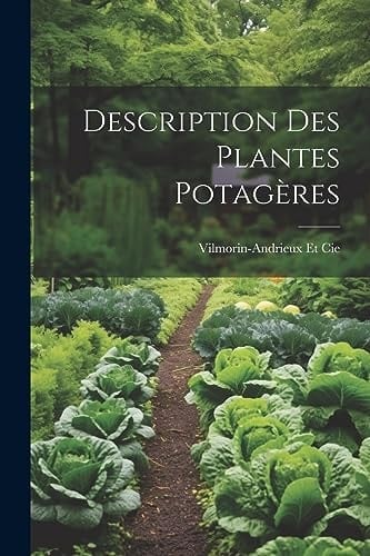 Description Des Plantes Potagères