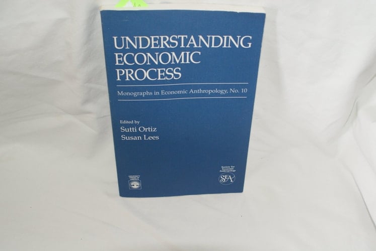 Understanding Economic Process