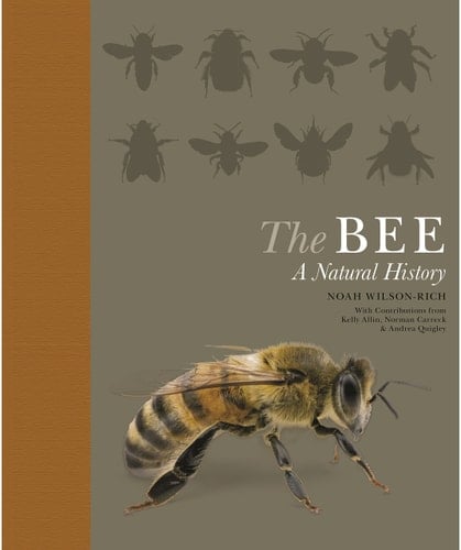 The Bee A Natural History