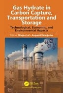 Gas Hydrate in Carbon Capture, Transportation and Storage Technological, Economic, and Environmental Aspects