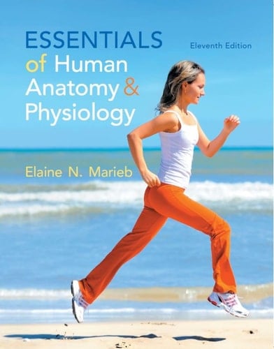 Essentials of Human Anatomy & Physiology