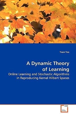 A Dynamic Theory of Learning: Online Learning and Stochastic Algorithms inReproducing Kernel Hilbert Spaces