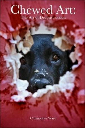 Chewed Art: The Art Of Deconstruction