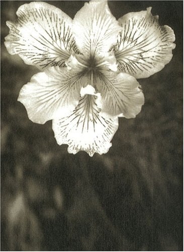 Life extreme guide illustré de nouvelles formes de vies