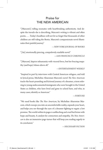 The New American A Novel