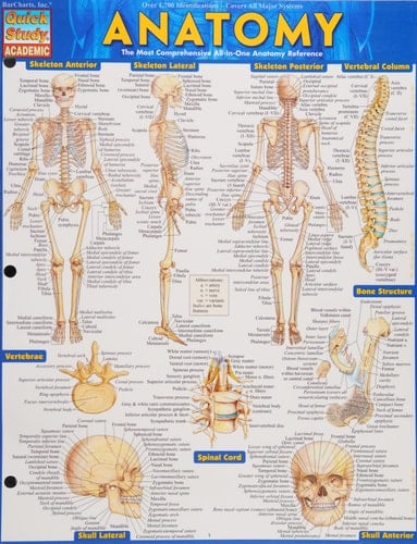 Anatomy QuickStudy Laminated Reference Guide
