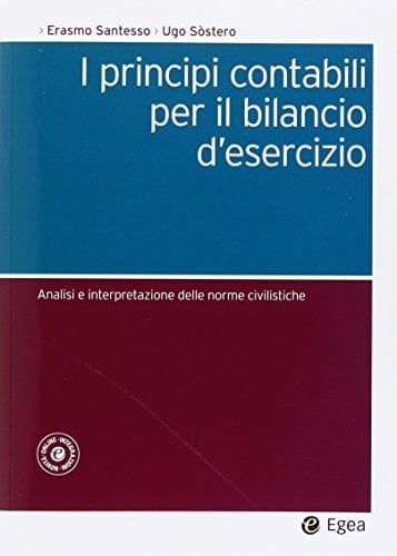 I principi contabili per il bilancio d'esercizio. Analisi e interpretazione delle norme civilistiche