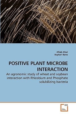 POSITIVE PLANT MICROBE INTERACTION: An agronomic study of wheat and soybean interaction with Rhizobium and Phosphate solubilizing bacteria