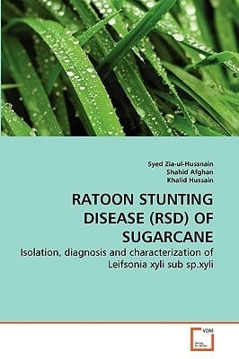 RATOON STUNTING DISEASE (RSD) OF SUGARCANE: Isolation, diagnosis and characterization of Leifsonia xyli sub sp.xyli
