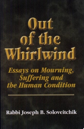Out of the Whirlwind Essays on Mourning, Suffering and the Human Condition