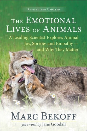 The Emotional Lives of Animals A Leading Scientist Explores Animal Joy, Sorrow, and Empathy — and Why They Matter