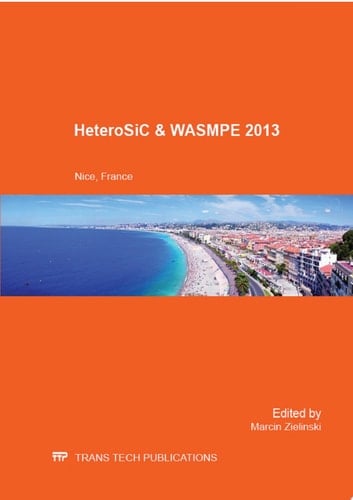 HeteroSiC & WASMPE 2013